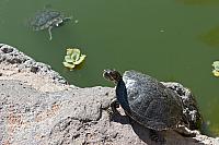 2011 09 23 1070