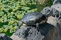 2011 09 23 1104