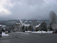 IMG 3431-01