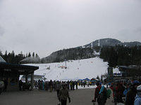 IMG 3437-01