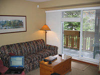 IMG 3440-01