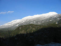 IMG 3459-01