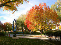 Fall UNM Campus