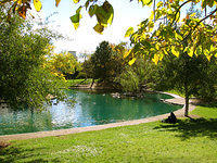 duck pond fall 04
