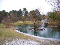 duck pond winter 2004