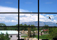 library squares2