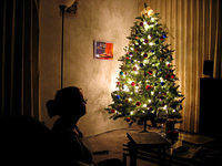 x-mas tree lisa