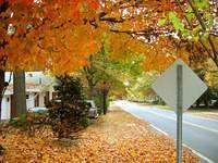 fall 2005 college park1