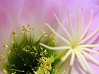 IMG 1054 1920x1440