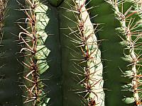 IMG 1351
