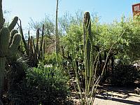 IMG 1356