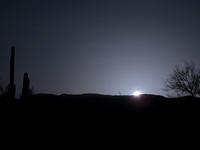 IMG 0843