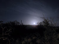 IMG 0863