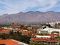 IMG 0926