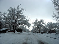 IMG 2817 v2