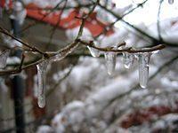 Winter December 2006 3