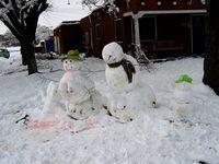 anatomical snowmen snowpeop