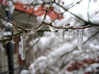 snow1