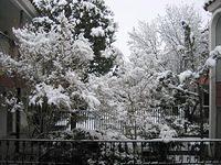 snow3